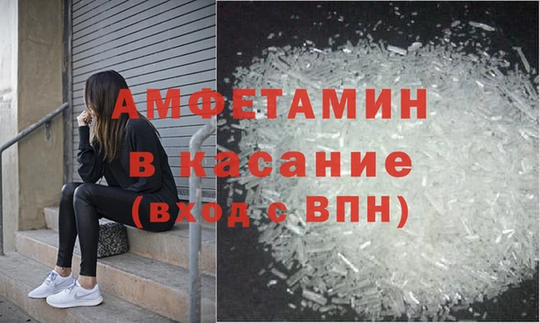 PSILOCYBIN Алзамай
