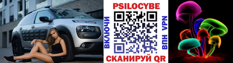 Псилоцибиновые грибы Cubensis Чайковский