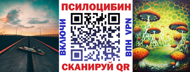 Псилоцибиновые грибы Psilocybe  купить наркотик  Чайковский 